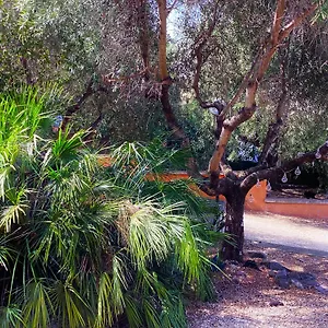 Locazione Turistica Dream House Marzia Roma